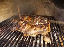 vasco vertine pollo alla griglia (9)