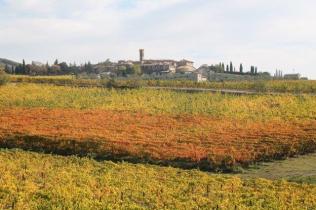 villa a sesta vigne di pagliaia autunno 2021 (9)