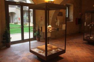 museo archeologico monteriggioni (21)